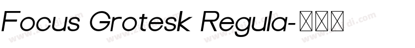 Focus Grotesk Regula字体转换 Focus Grotesk Regula字体转换